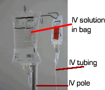 IV bag