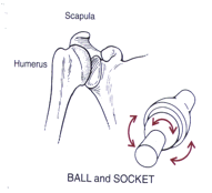 ball_socket