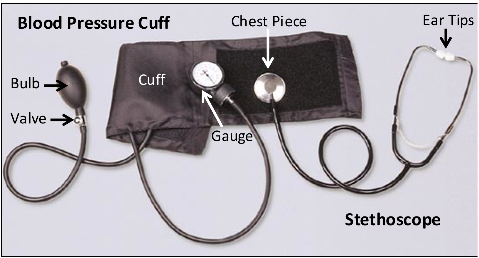 Blood Pressure Cuff