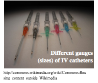 Catheters