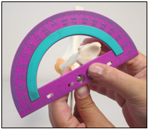 Elbow Measurement 3