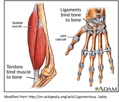leigaments and tendons