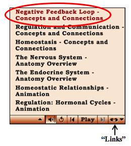 Negative Feedback Loop