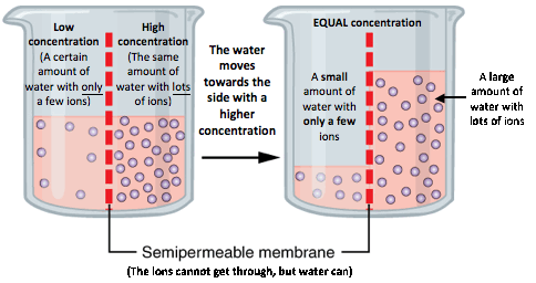 water concentration